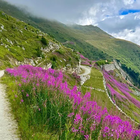 Luxury 4 Valleys 公寓