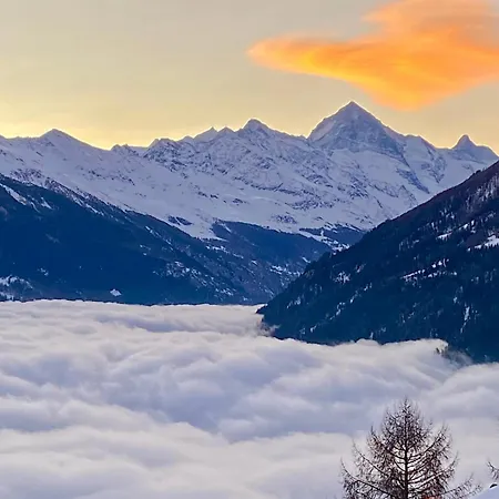 Luxury 4 Valleys Apartment Heremence
