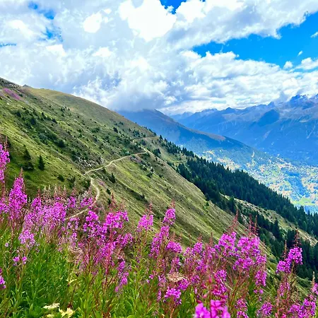 Luxury 4 Valleys 公寓