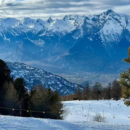 公寓 Luxury 4 Valleys Hérémence